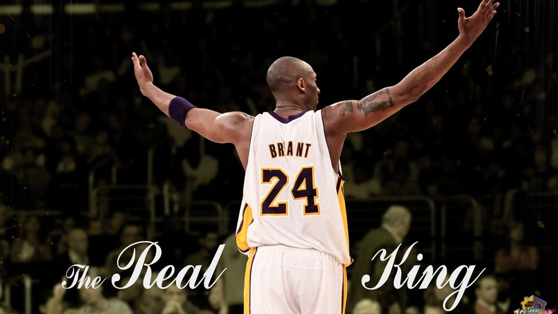 世界排名争夺战焦点战，公牛正面击溃开拓者